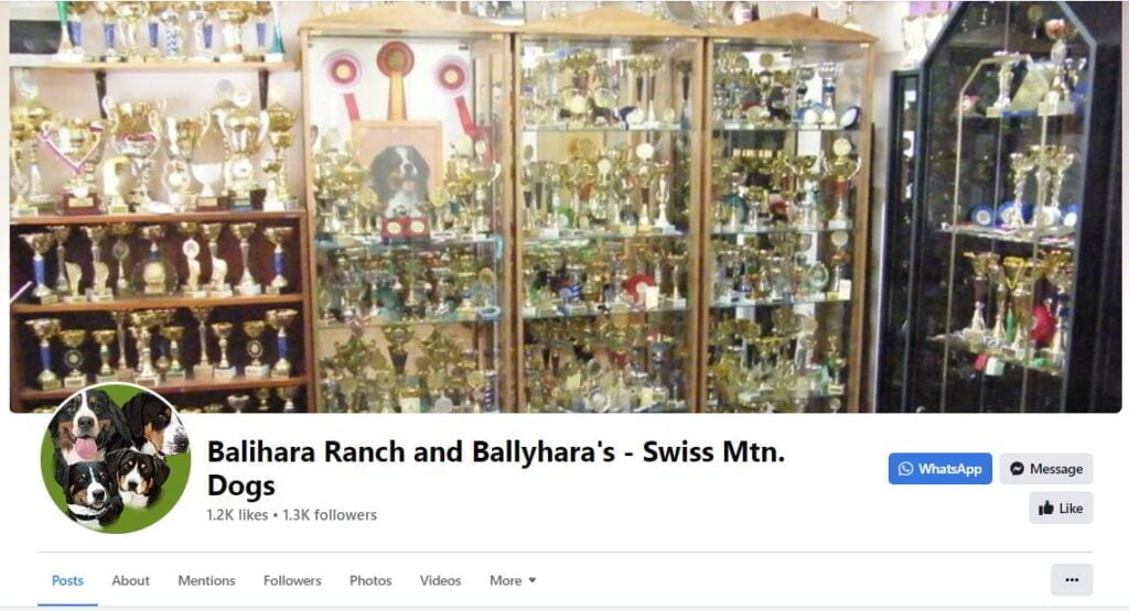 O Balihara Ranch | Recenze Balihara Ranch